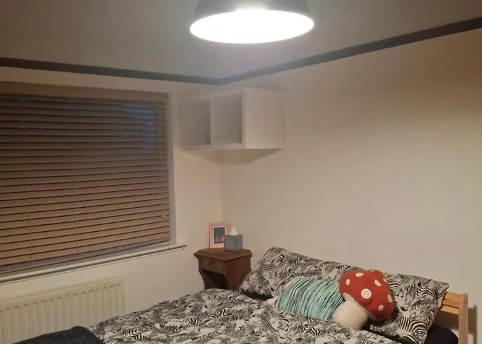 The Burrow